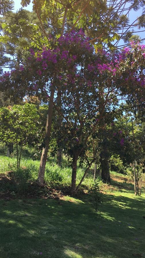 Pousada Canto Dos Passaros Itanhandu Exteriér fotografie